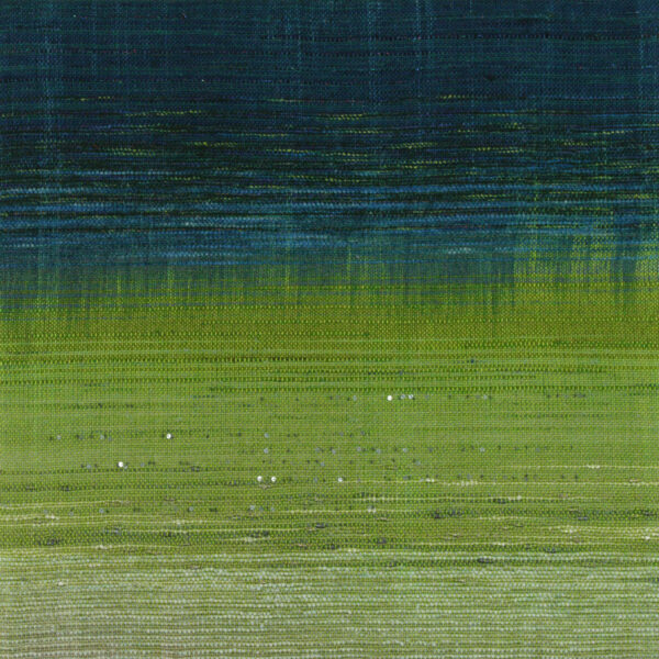 Untitled 41 - Woven Landscapes - Sue Balascio