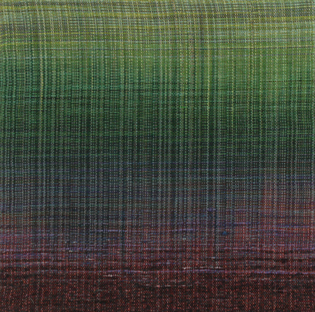 Untitled 85 - Woven Landscapes - Sue Balascio