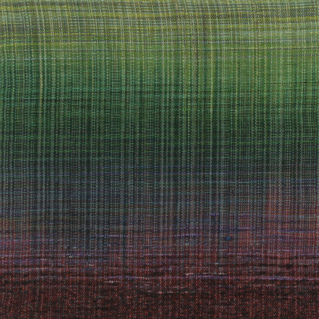 Untitled 85 - Woven Landscapes - Sue Balascio