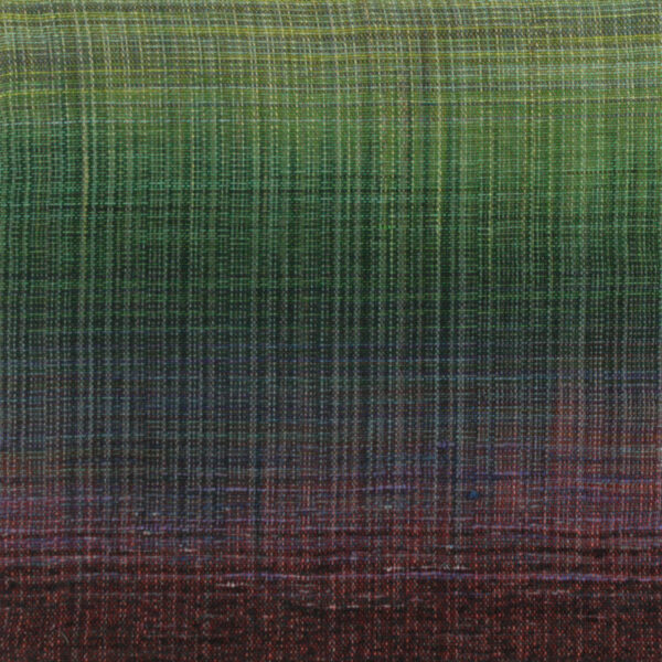 Untitled 85 - Woven Landscapes - Sue Balascio