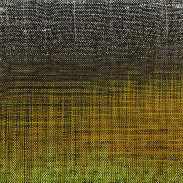 Untitled 94 - Woven Landscapes - Sue Balascio