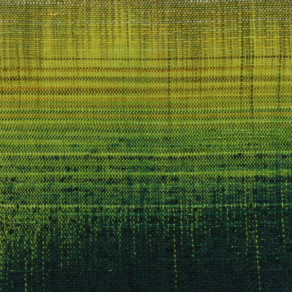 Untitled 97 - Woven Landscapes - Sue Balascio