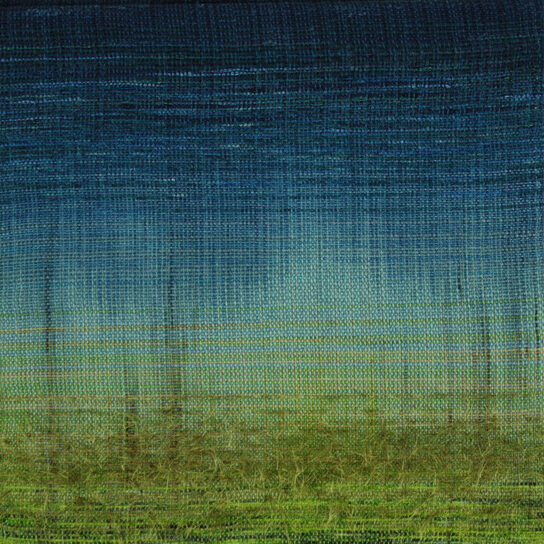 Untitled 106 - Woven Landscapes - Sue Balascio