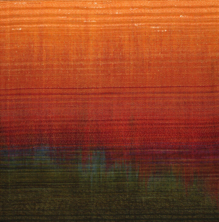 Untitled 11 - Woven Landscapes - Sue Balascio