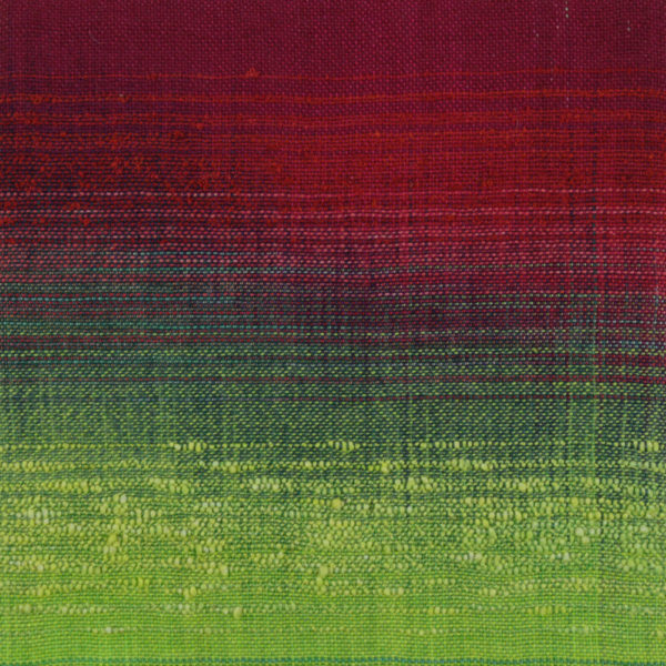 Untitled 91 - Woven Landscapes - Sue Balascio